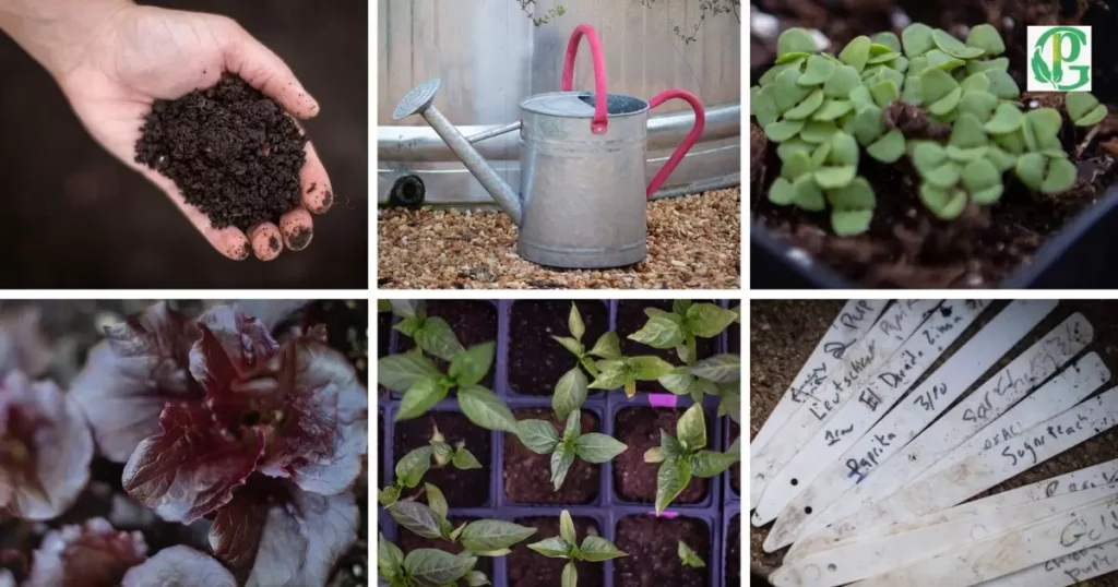 Gardening Techniques in Maine
