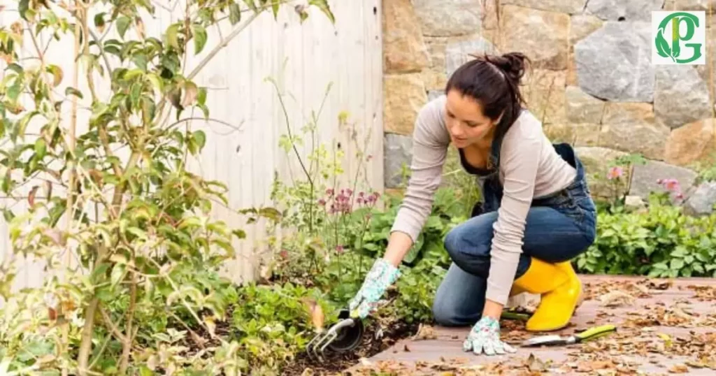 Tending To The Weeds