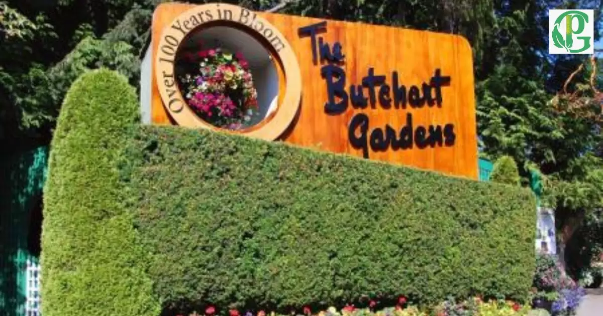 How To Get To Butchart Gardens From Victoria Cruise Terminal?