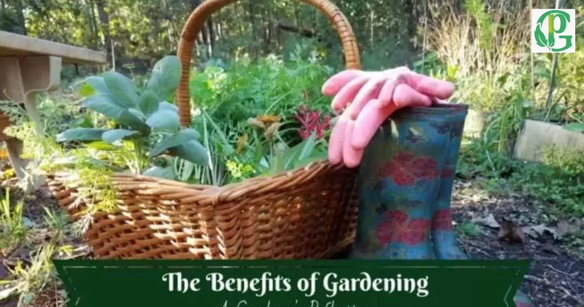 What Are the Benefits of Having God as a Gardener?