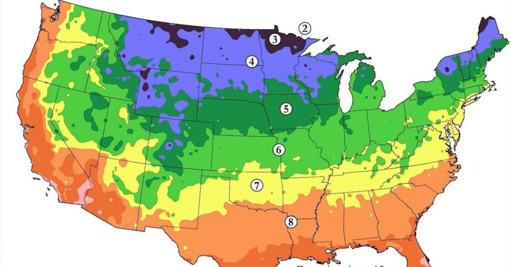 How winter temperatures create zones