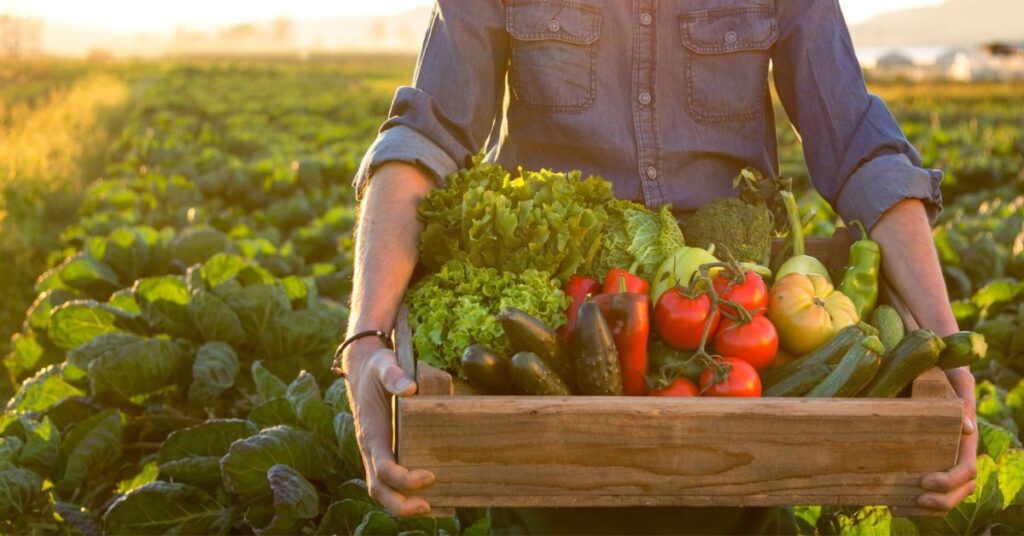 Pick vegetables to harvest yearly